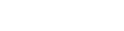 NextIntelligence.ai Logo